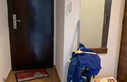 Apartament 2 camere decomandat Delfinului