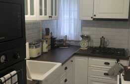 Apartament de 3 camere, design superb, zona excelenta, Domenii