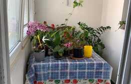 Apartament de 3 camere, zona Metrou Iancului