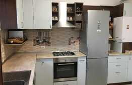 Duplex P+1+M langa padurea Tunari 120 mp utili