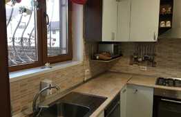 Duplex P+1+M langa padurea Tunari 120 mp utili