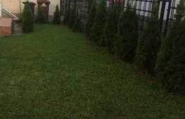 Vila de 215 mp, 250 mp teren, langa padurea Baneasa!