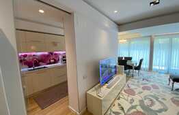 Apartament de lux, 4 camere, Aviatorilor!