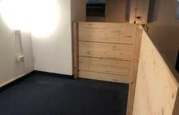 Oferta! Garsoniera de 30 mp, Mosilor, ideal investitie!