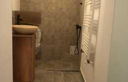 Oferta! Garsoniera de 30 mp, Mosilor, ideal investitie!