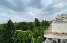 Apartament spatios, 4 camere, 164 mp, etaj intermediar, Herastrau