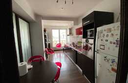 Apartament spatios, 4 camere, 164 mp, etaj intermediar, Herastrau