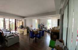 Apartament spatios, 4 camere, 164 mp, etaj intermediar, Herastrau