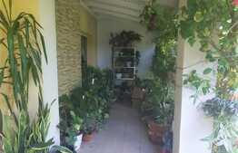 Apartament de 3 camere, superb, cu terasa si curte, Pipera