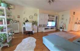 Apartament de 3 camere, superb, cu terasa si curte, Pipera