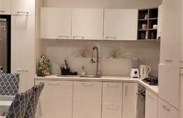 Apartament de 3 camere, superb, cu terasa si curte, Pipera