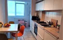 Apartament de 3 camere, foarte spatios, mobilat, zona linistita