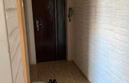 Apartament 3 camere, 65 mp, zona Tei! Vedere spre Parc Circului!