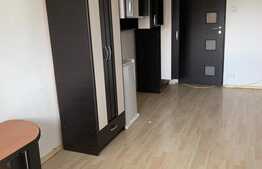 Garsoniera cocheta, Bulevardul Chisinau