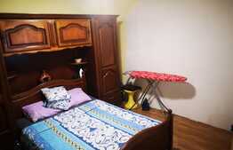 Casa 3 camere Bucurestii Noi