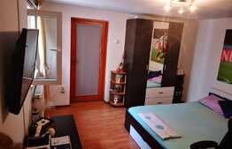 Casa 3 camere Bucurestii Noi