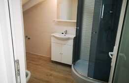 Vila p+1, constructie 2020, 140 mp construiti, curte total 170 mp, Fundeni, Dobroiesti