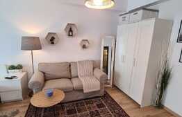 Garsoniera lux langa Parcul Carol