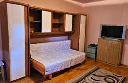 Investitie! Garsoniera mobilata, Calea Mosilor, aproape de metrou!