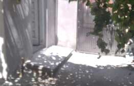 Investite! Apartament plus doua garsoniere la casa, zona foarte buna