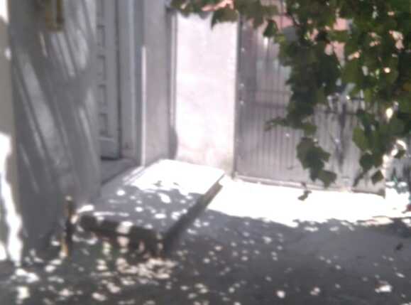 Apartament de vânzare 4+ camere Central - 68871AV | BLITZ București | Poza8