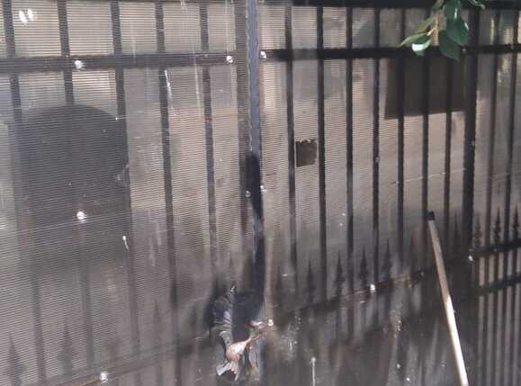 Apartament de vânzare 4+ camere Central - 68871AV | BLITZ București | Poza10