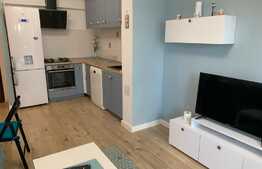 Apartament de 2 camere cu terasa de 26 mp in Aviatiei