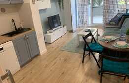 Apartament de 2 camere cu terasa de 26 mp in Aviatiei