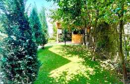 Vila de 230 mp utili construita ca la carte! Otopeni!