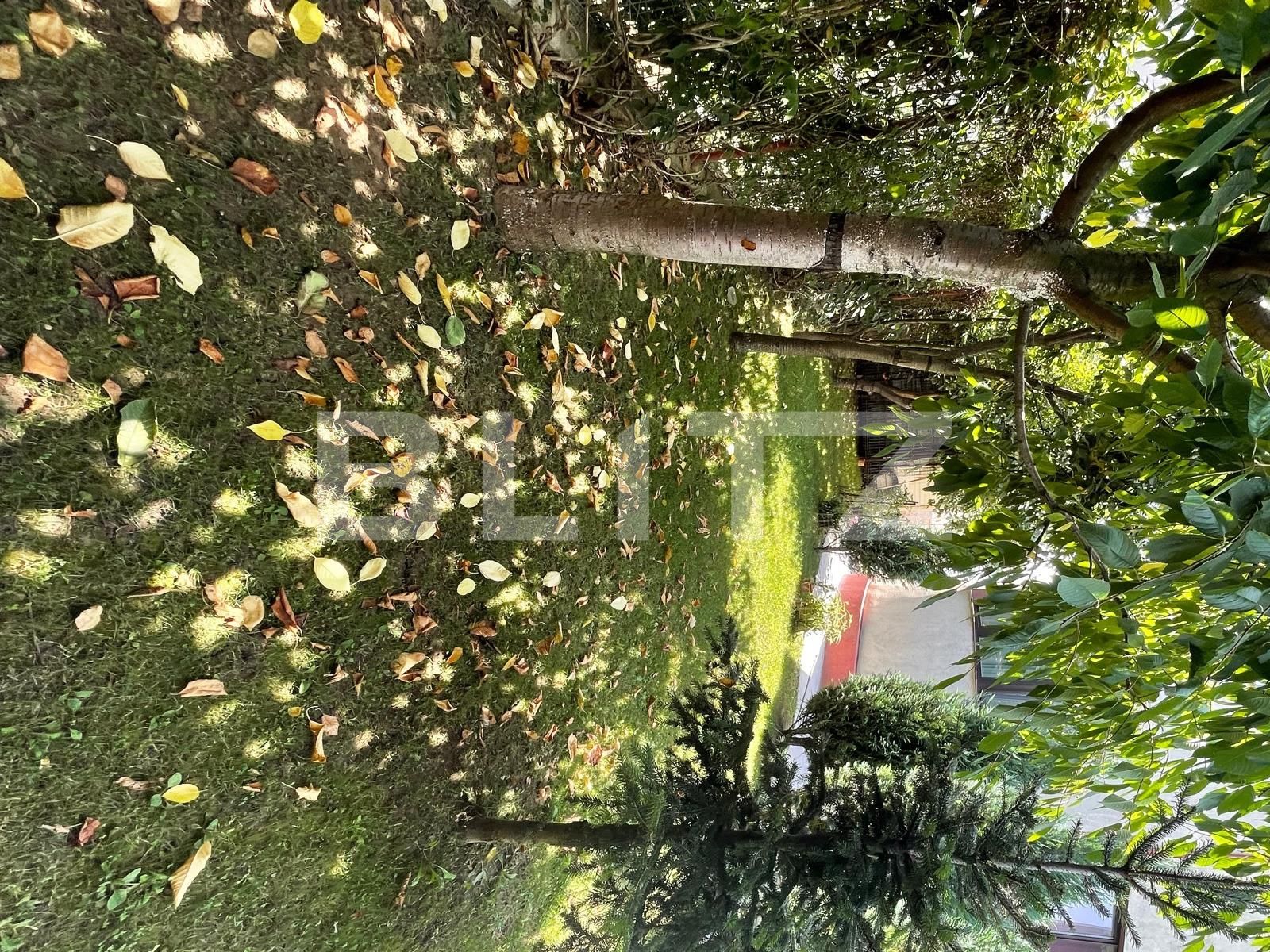 Casa de vânzare 5 camere Otopeni - 69017CV | BLITZ București | Poza14