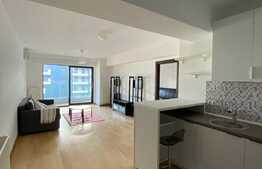 Apartament de 2 camere, 65 mp, zona Iancu Nicolae!