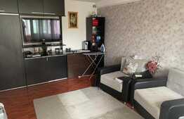 Apartament de 2 camere, 55 mp, decomandat, zona Doamna Ghica!