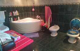 Ocazie! Casa P+1, suprafata utila 237 mp si terasa 58 mp, zona Soseaua Chitilei