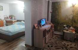 Ocazie! Casa P+1, suprafata utila 237 mp si terasa 58 mp, zona Soseaua Chitilei