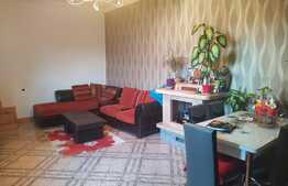 Ocazie! Casa P+1, suprafata utila 237 mp si terasa 58 mp, zona Soseaua Chitilei