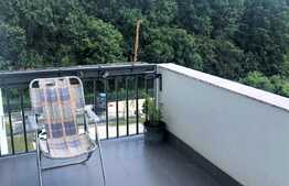 Apartament de 2 camere, terasa de 54 mp, loc de parcare, zona Băneasa