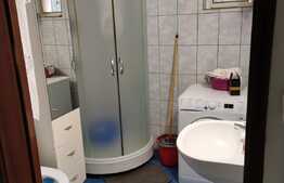 Vila deosebita, spatioasa, 182 mp, Doamna Ghica