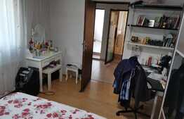 Vila deosebita, spatioasa, 182 mp, Doamna Ghica