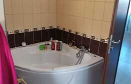 Vila deosebita, spatioasa, 182 mp, Doamna Ghica