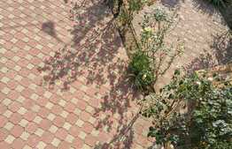 Vila deosebita, spatioasa, 182 mp, Doamna Ghica