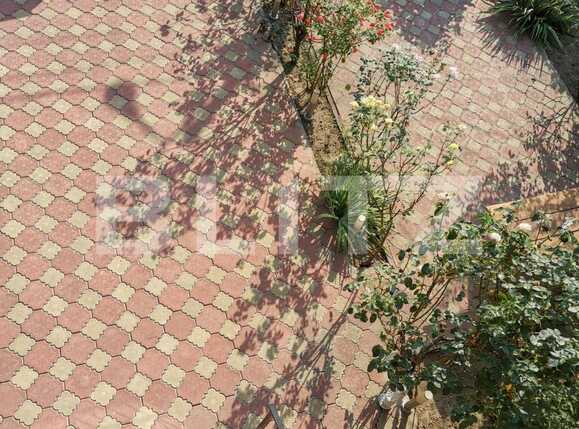 Casa de vânzare 4 camere Colentina - 69726CV | BLITZ București | Poza19