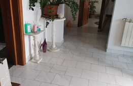 Vila de lux, 464 mp utili, zona selecta Dobroesti