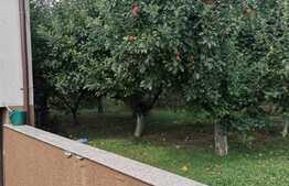 Vila de lux, 464 mp utili, zona selecta Dobroesti