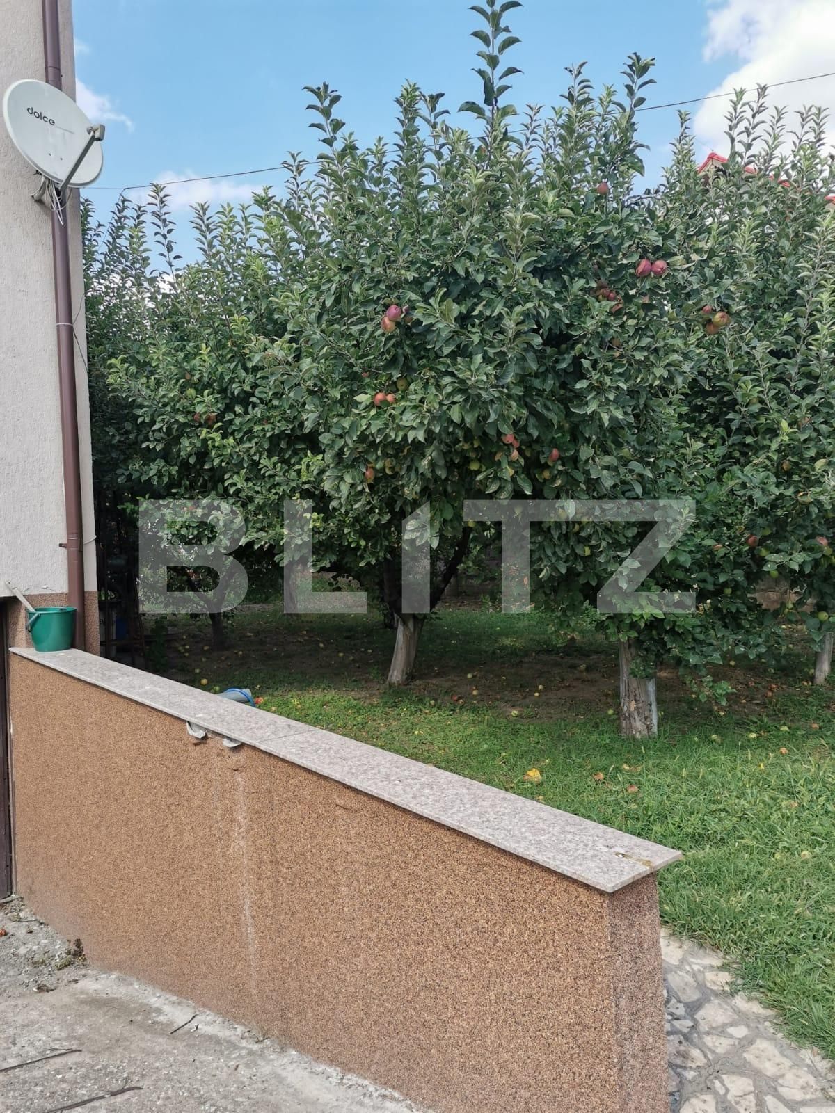 Casa de vânzare 6 camere Dobroesti - 69889CV | BLITZ București | Poza4