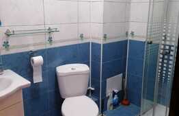 Vila de 500 mp utili, ideal investitie, in Colentina!