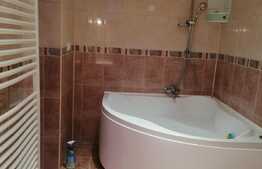 Vila de 500 mp utili, ideal investitie, in Colentina!