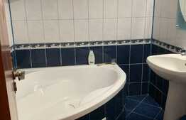 Apartament de 4 camere, spatios, Teiul Doamnei!