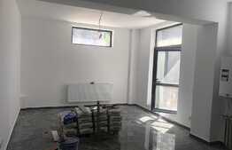 Apartament 2 camere, curte englezeasca, Bucurestii Noi