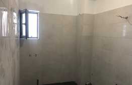 Apartament 2 camere, curte englezeasca, Bucurestii Noi