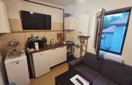 Studio modern în vilă, 5 minute de metrou Eroilor, zona Cotroceni